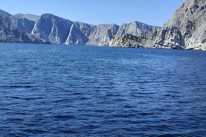 Khasab Dhow Cruise-Half Day With Summing, Dolphin Watching - Inclusions