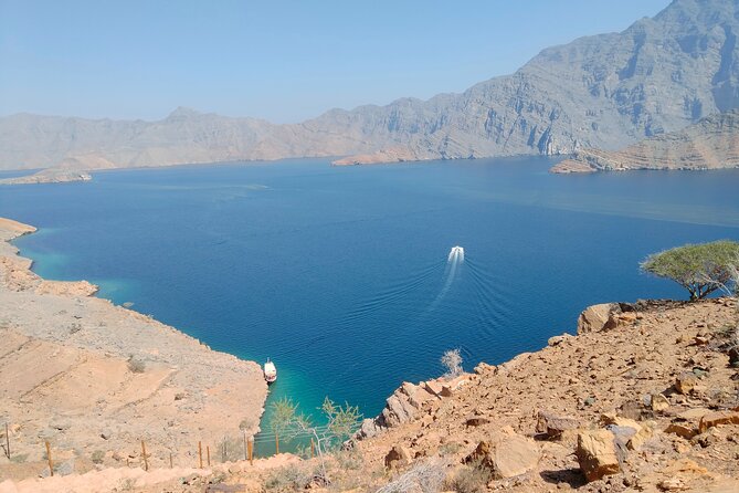 Khasab Musandam Half Day Dhow Cruise - Highlights of the Experience