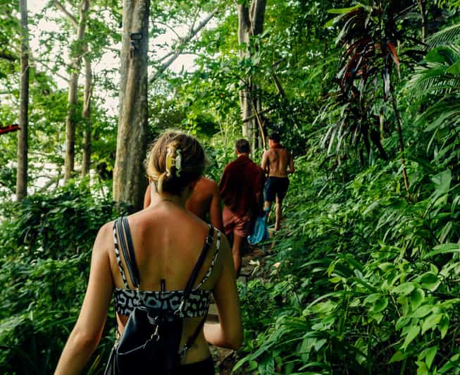 Khlong Sok: Khao Sok Waterfalls and Wildlife Half-Day Trek - Highlights of the Experience