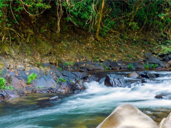 Khlong Sok: Khao Sok Waterfalls and Wildlife Half-Day Trek - Frequently Asked Questions