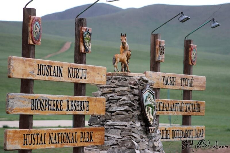 Khustai National Park Day Tour-Wild Horses - Key Points
