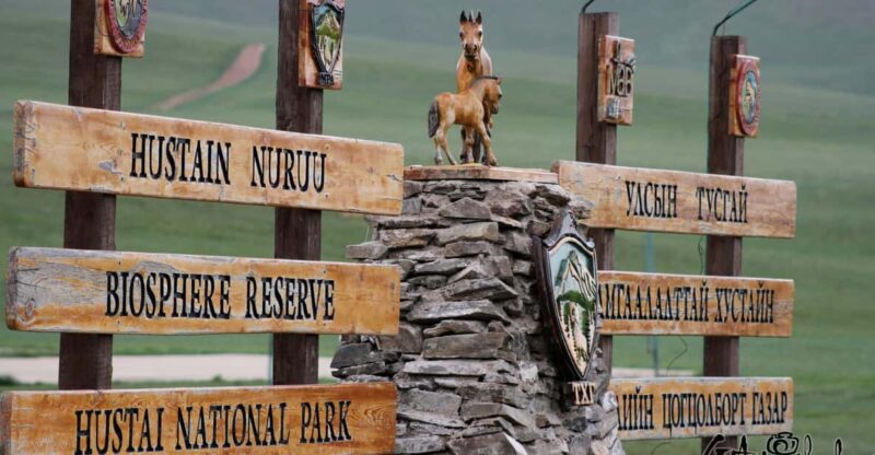 Khustai National Park Day Tour-Wild Horses - Wildlife and Conservation