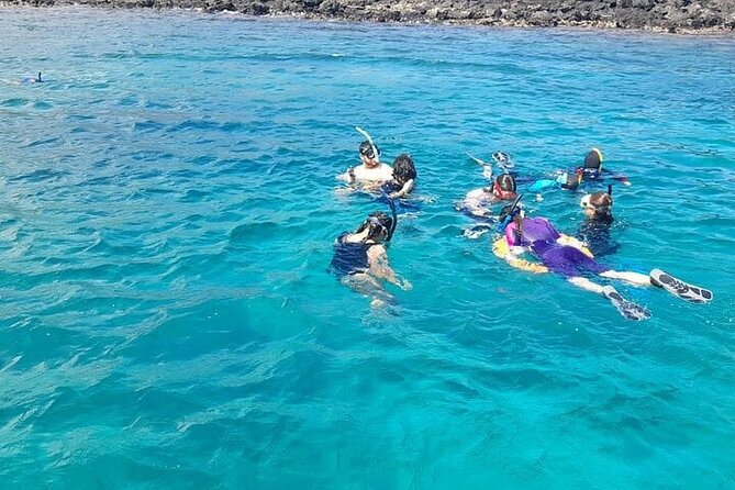 Kicker Rock Day Trip From San Cristobal: Snorkeling & Wildlife - Abundant Marine Life