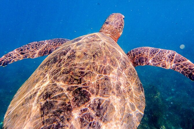 Kicker Rock Day Trip From San Cristobal: Snorkeling & Wildlife - Recap