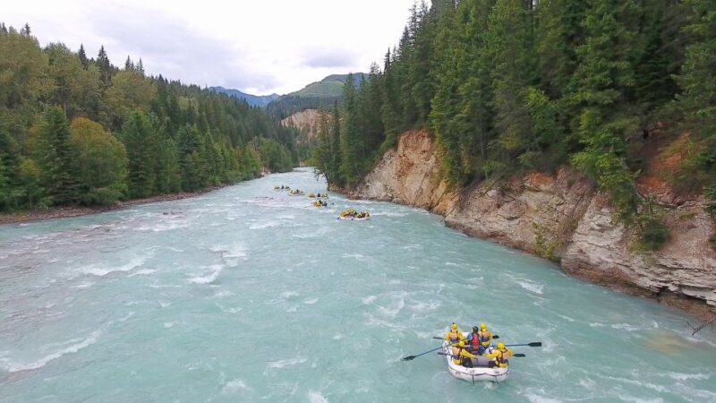 Kicking Horse River: Rafting Trip With BBQ - Highlights and Equipment