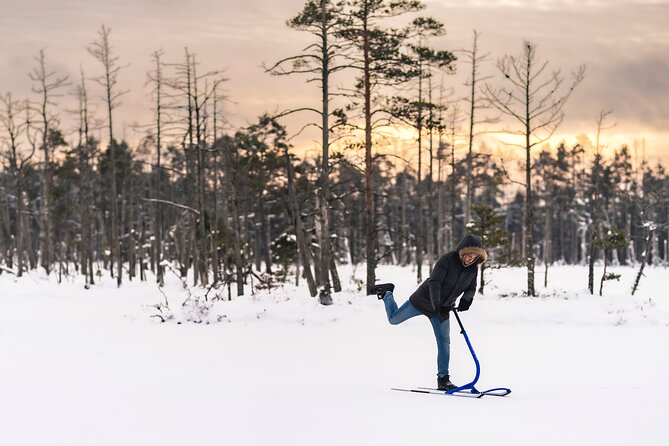 Kicksledding on Snowy Forest Roads and Frozen Lakes in Riga - Key Points