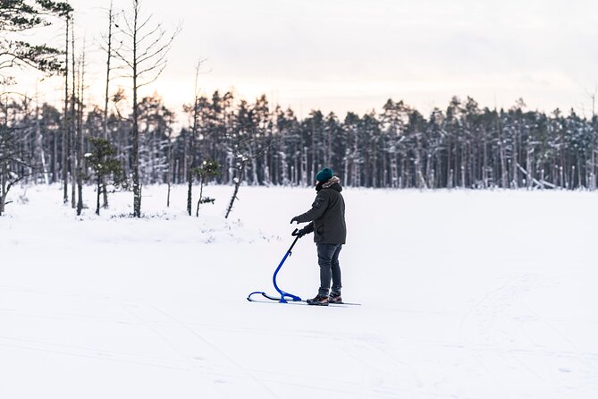 Kicksledding on Snowy Forest Roads and Frozen Lakes in Riga - Engaging With the Knowledgeable Guide