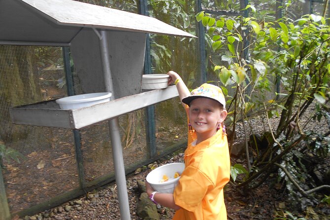 Kids Park Ranger for a Day - Accessibility and Suitability