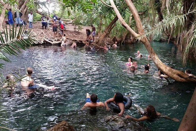Kikuletwa (Chemka) Hot Springs Day Tour - Pricing