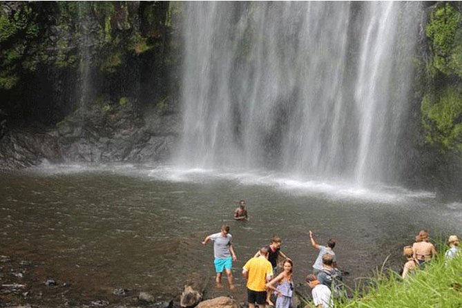 Kikuletwa (Chemka) Hot Springs Day Tour - Reviews