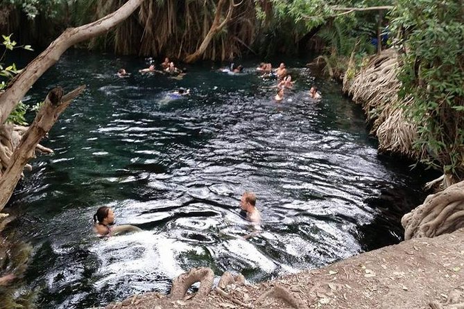 Kikuletwa (Chemka) Hot Springs Day Tour - Additional Information
