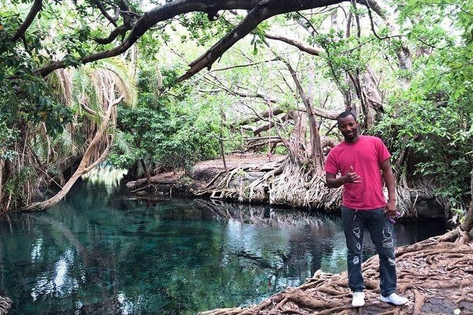 Kikuletwa Hot-spring - Visitor Tips and Recommendations