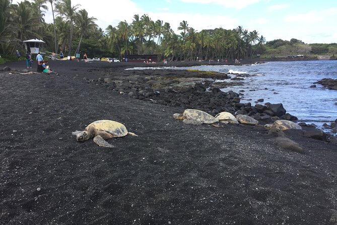 Kilauea Summit to Shore From Kona: Small Group - Tour Reviews