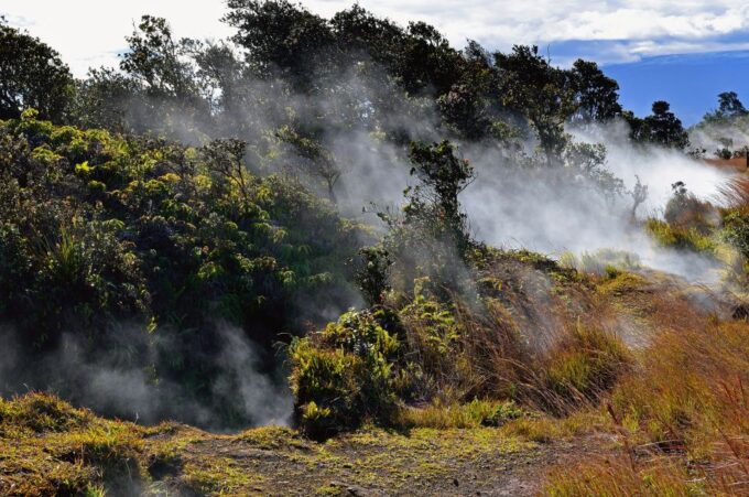 Kilauea: Volcanoes National Park Guided Hike - Booking and Cancellation Policy