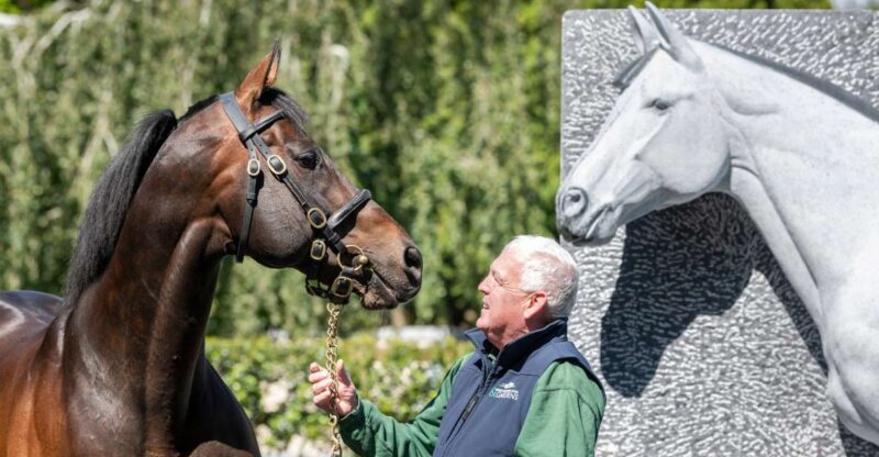 Kildare: Irish National Stud & Gardens - Experience Highlights