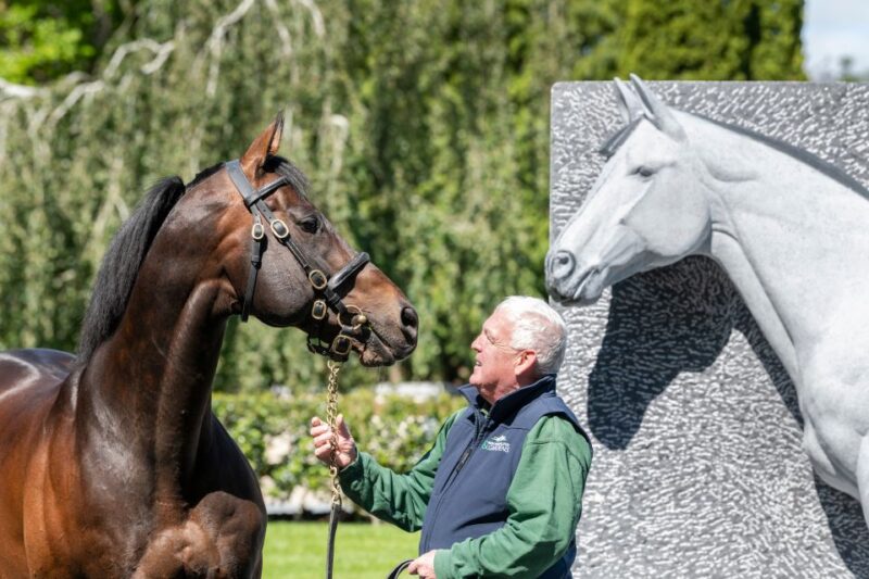 Kildare: Irish National Stud & Gardens - Gardens and Attractions