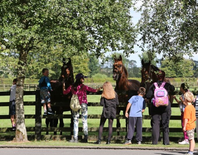 Kildare: Irish National Stud & Gardens - Additional Information