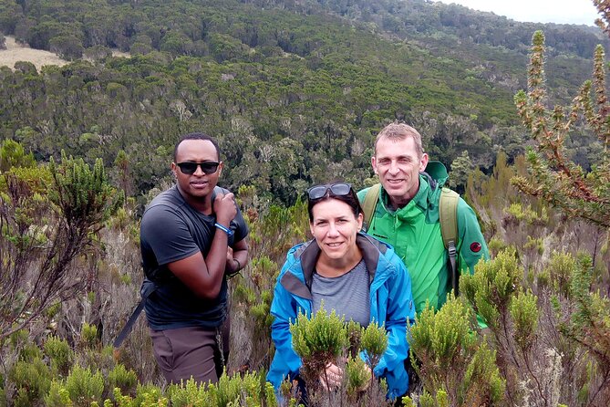 Kilimanjaro 1 Day Hike - Pickup Information