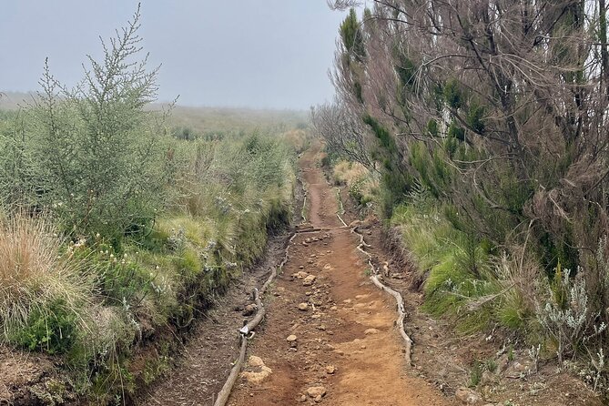 Kilimanjaro 1 Day Hike - Schedule