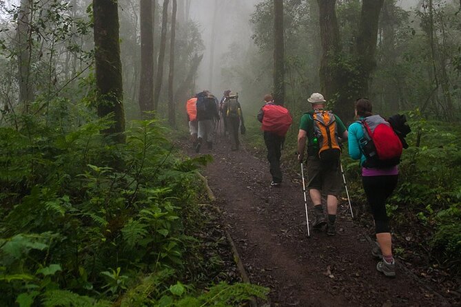 Kilimanjaro 1 Day Hike - Traveler Information