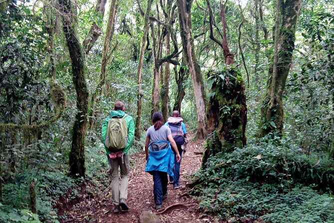 Kilimanjaro 1 Day Hike - Operator Information