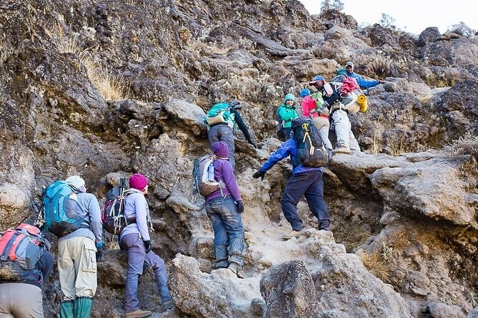 Kilimanjaro 7 Day Private Trekking Experience - Fitness Requirements