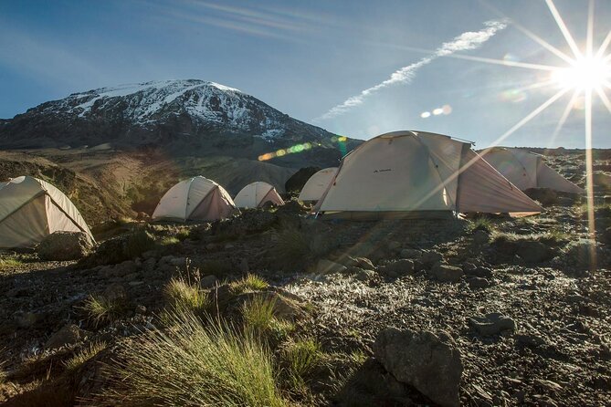 Kilimanjaro Climb - 7 Days Machame Route - Pickup and Start Time