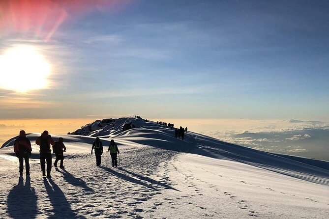Kilimanjaro Climb - 7 Days Machame Route - Accessibility and Requirements