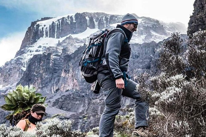 Kilimanjaro Climb - 7 Days Machame Route - Meals and Accommodations