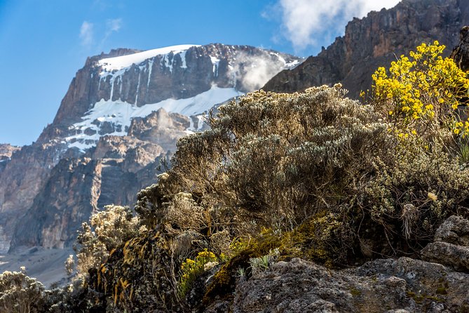 Kilimanjaro Climb, Kilimanjaro Crater Route (10-Day) - Medical and Evacuation Measures
