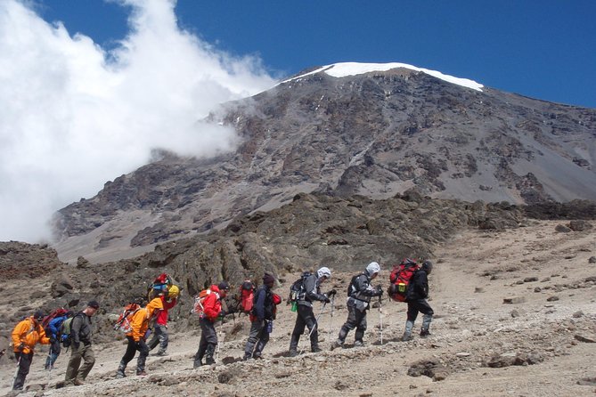 Kilimanjaro Climb • Lemosho Route ~ 12 Day - Reviews and Ratings