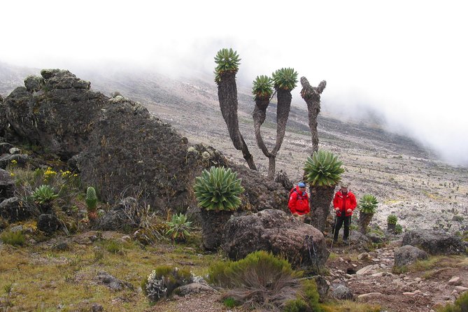 Kilimanjaro Climb • Lemosho Route ~ 12 Day - Packing and Gear Recommendations