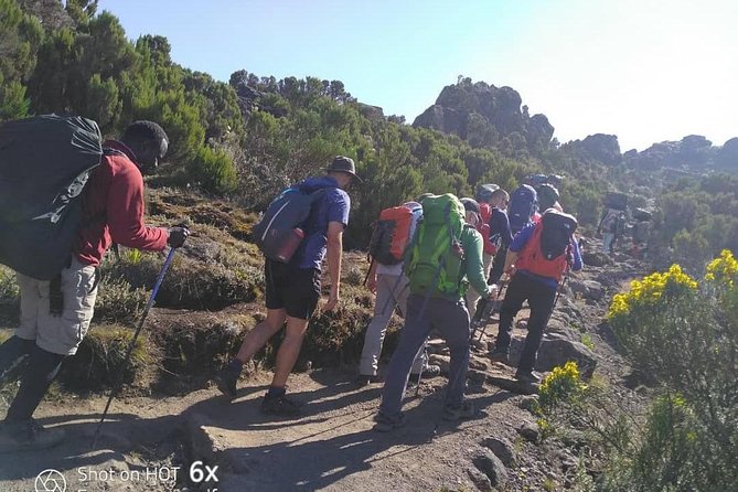 Kilimanjaro Climb- Lemosho Route - Schedule and Availability