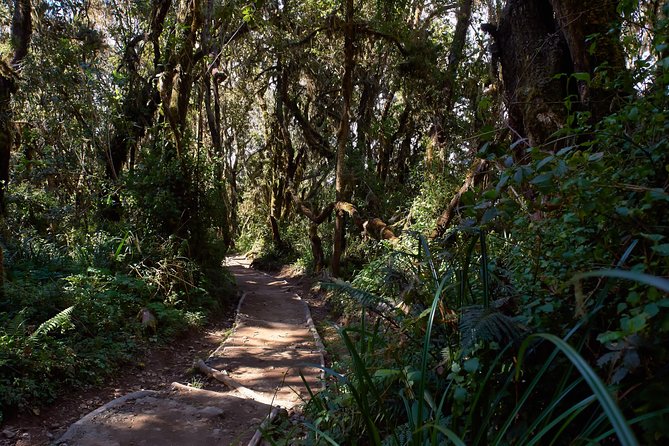 Kilimanjaro Climb, Marangu Route (6-Day) - Exclusions
