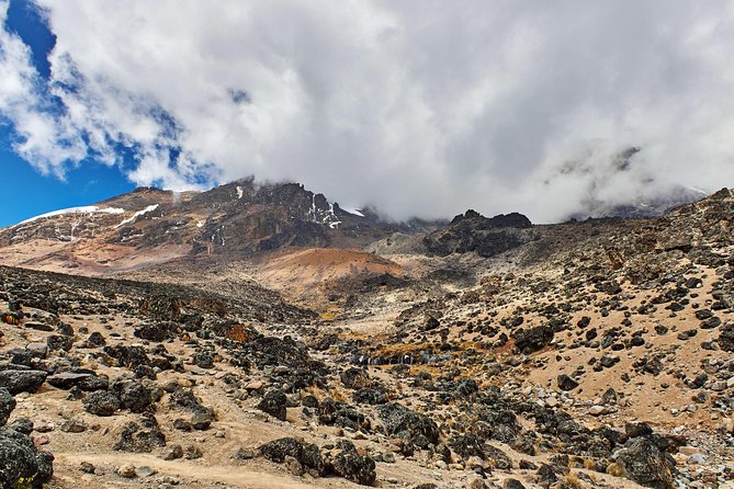 Kilimanjaro Climb, Marangu Route (6-Day) - Private Tour and Activity