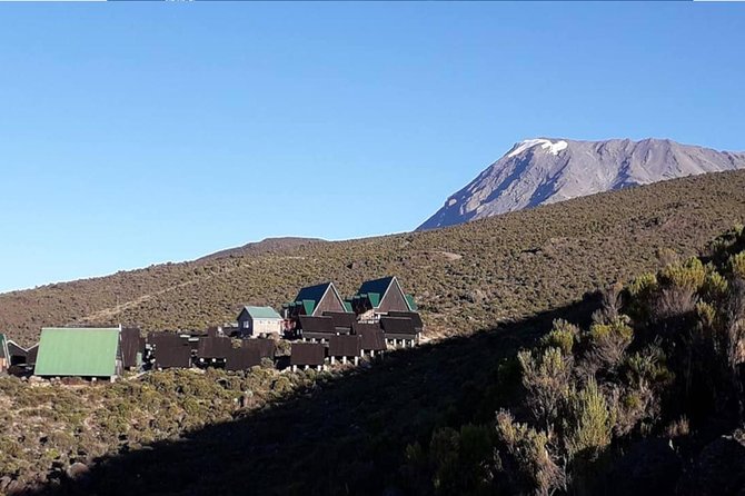 Kilimanjaro Climb Marangu Route 6 Days - Post-Climb Celebration