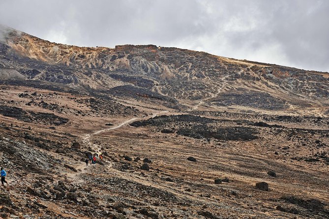 Kilimanjaro Climb, Rongai Route (7-Day) - Exclusions From the Package