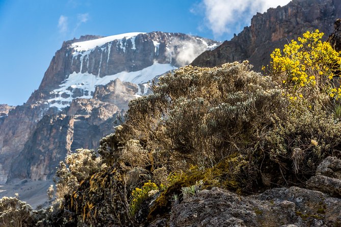 Kilimanjaro Climb, Rongai Route (7-Day) - Private Tour Details