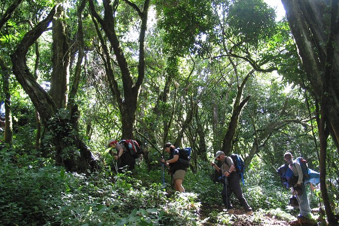 Kilimanjaro Climb • Signature Machame Route ~ 10-Day - Itinerary and Meal Details