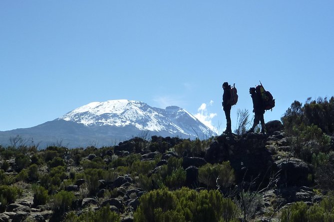 Kilimanjaro Climb • Signature Machame Route ~ 10-Day - Review Check Process