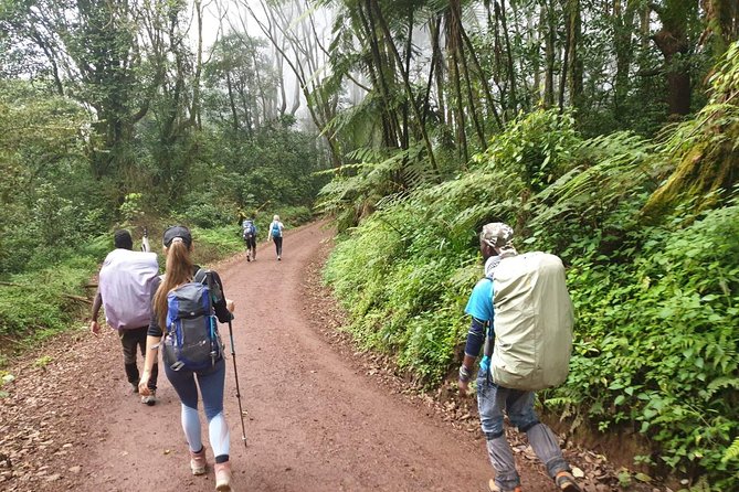Kilimanjaro Climbing 5 Days Marangu Route - Physical Fitness Requirements
