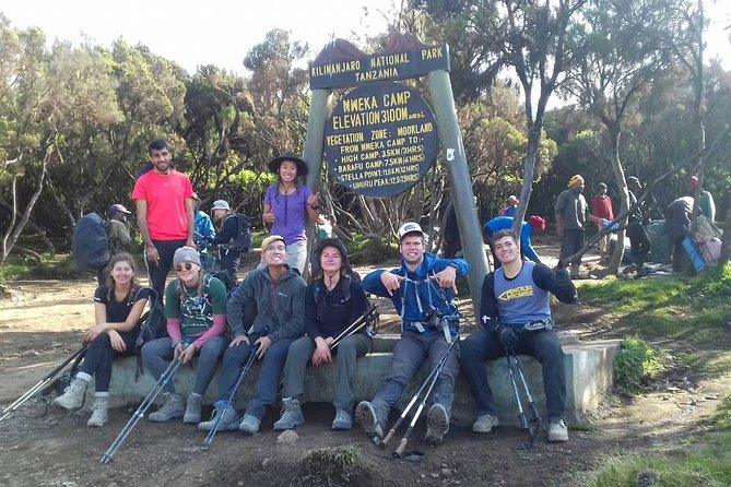 Kilimanjaro Climbing Rongai Route - Tour Reviews