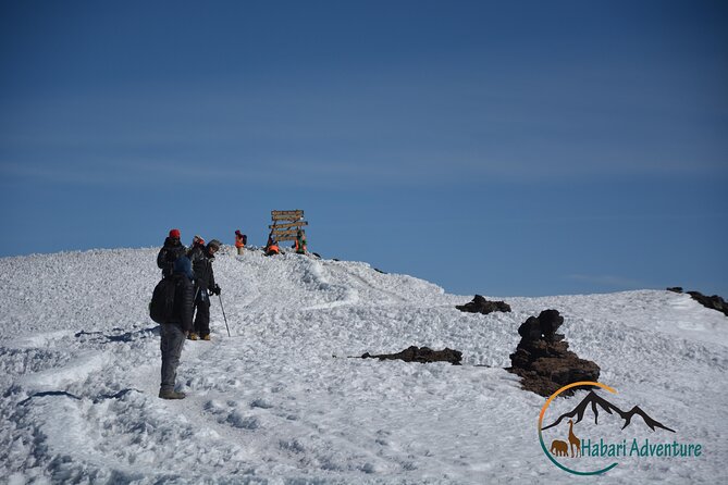 Kilimanjaro Climbing Umbwe Route - Highlights of the Umbwe Route