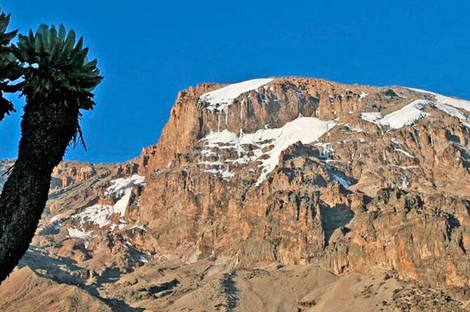 Kilimanjaro Climbing Via Machame Route 8 Days - Booking and Cancellation Policy