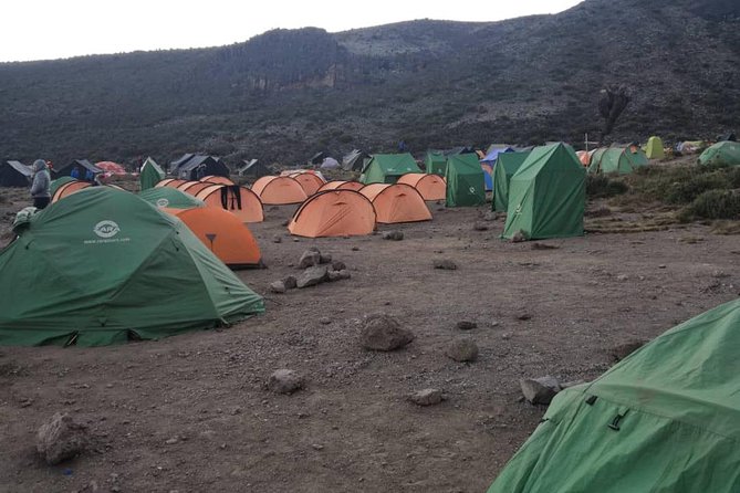 Kilimanjaro Climbing Via Machame Route 8 Days - Health and Safety Considerations