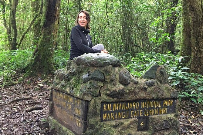 Kilimanjaro Day Hike - Hiking With Professional Guide
