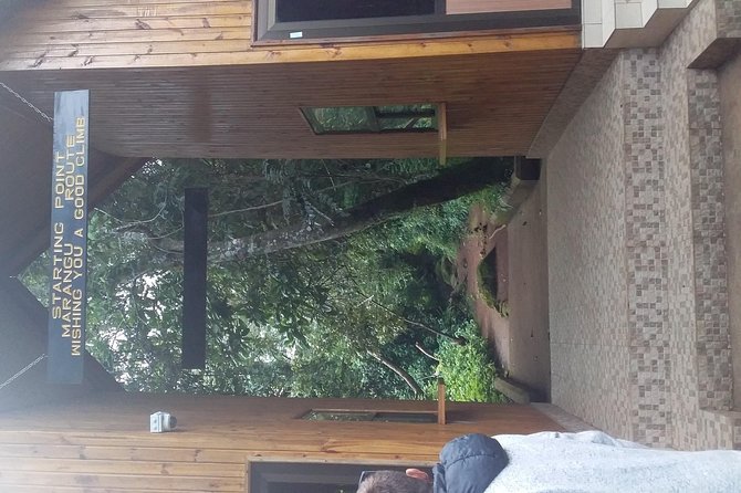 Kilimanjaro Day Hike - Picnic Lunch at Mandara Hut