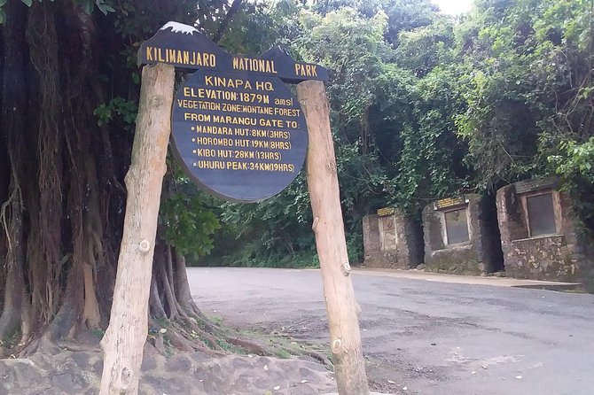 Kilimanjaro Day Hike - Private Tour at Own Pace