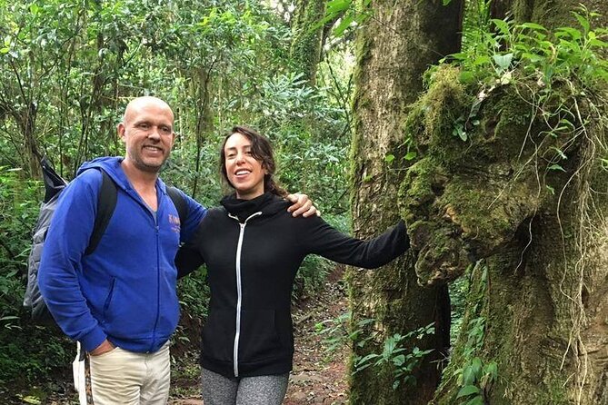 Kilimanjaro Day Hike - Physical Fitness Requirement