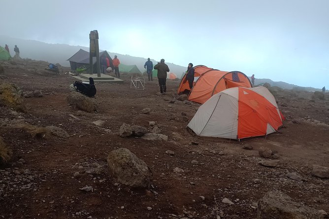 Kilimanjaro Experience 7 Days Lemosho Route - Meeting and Pickup